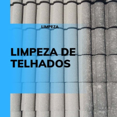 Limpeza de Telhado, Calhas, remoção completa de toda a sujeira...........