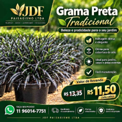 🌷 JDF Paisagismo. Grama Preta. Beleza e praticidade para o jardim.......