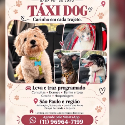 🚗🐾 Seu pet tem compromisso? Cuidamos do transporte! Táxi Dog e Cat..